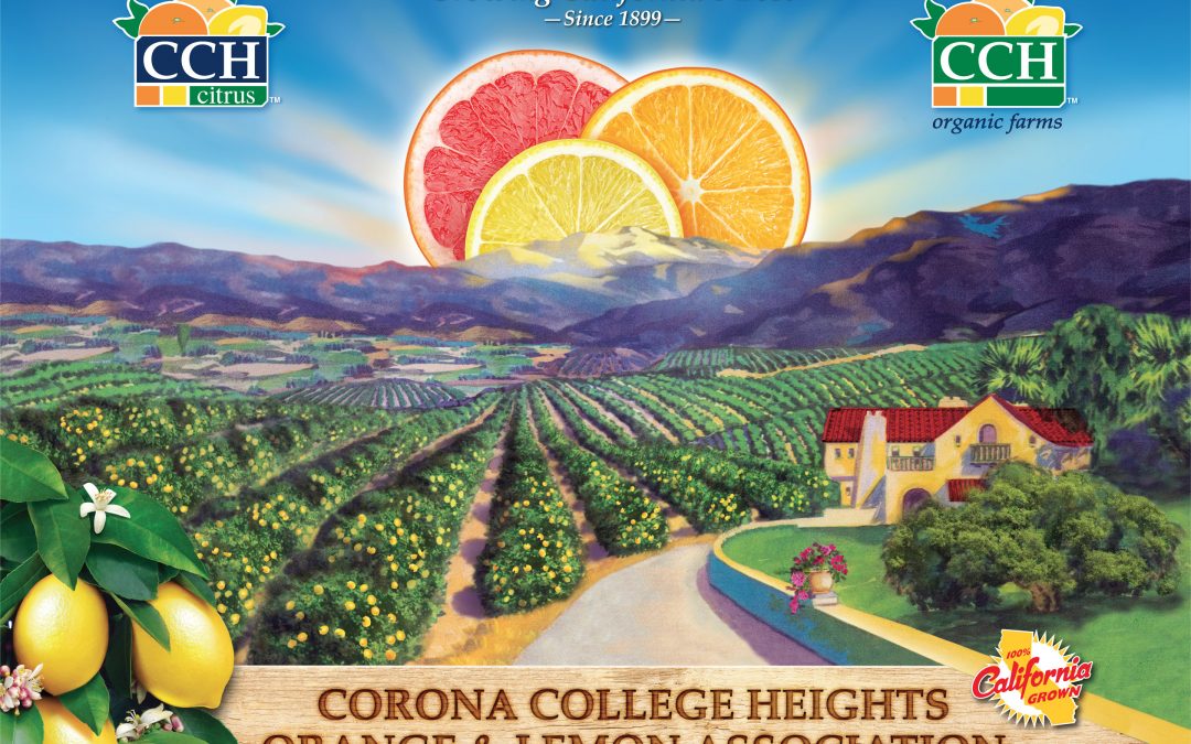 CCH Citrus Poster