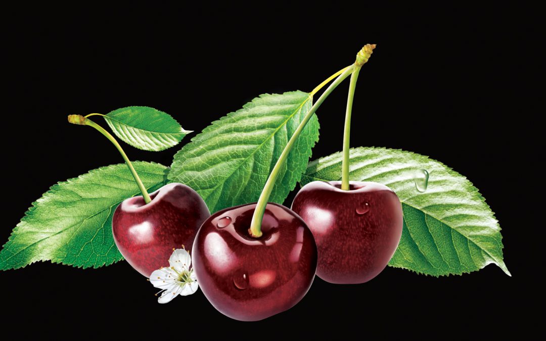 Photo realistic cherries – Stephen Baily, illustrator