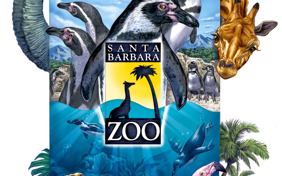 Santa Barbara zoo outdoor & poster campaign